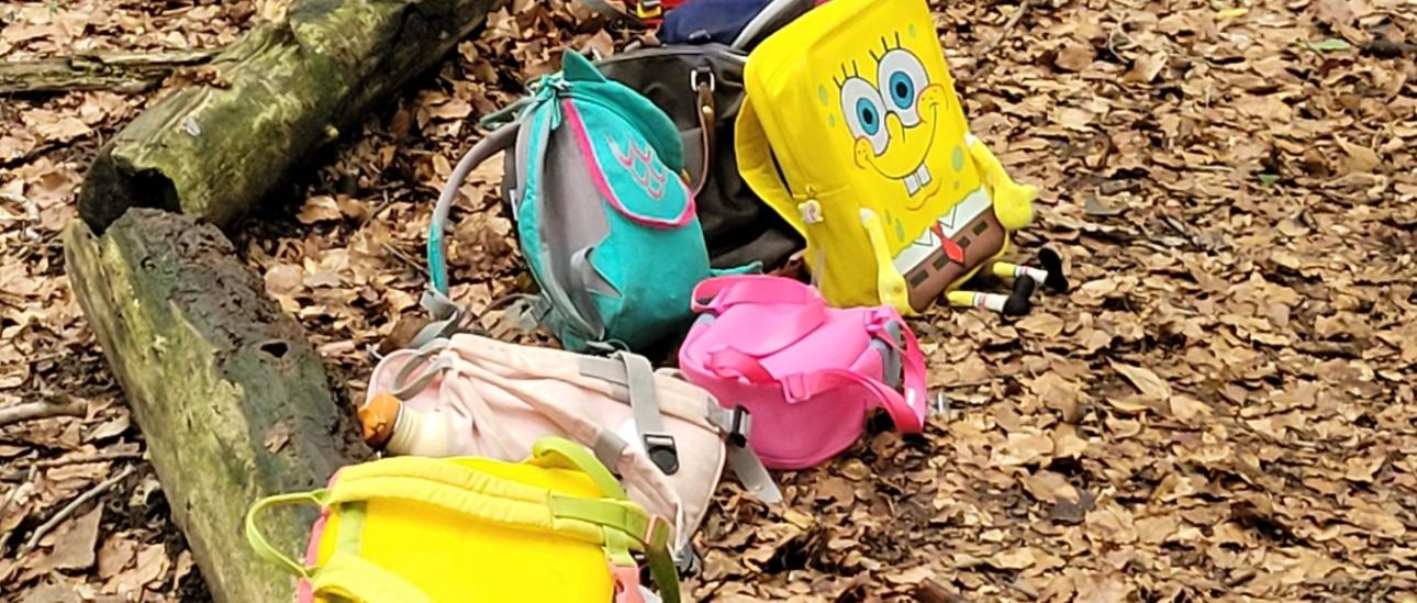 Wir entdecken und erleben viele Dinge und picknicken unter einem riesigen Blätterdach.