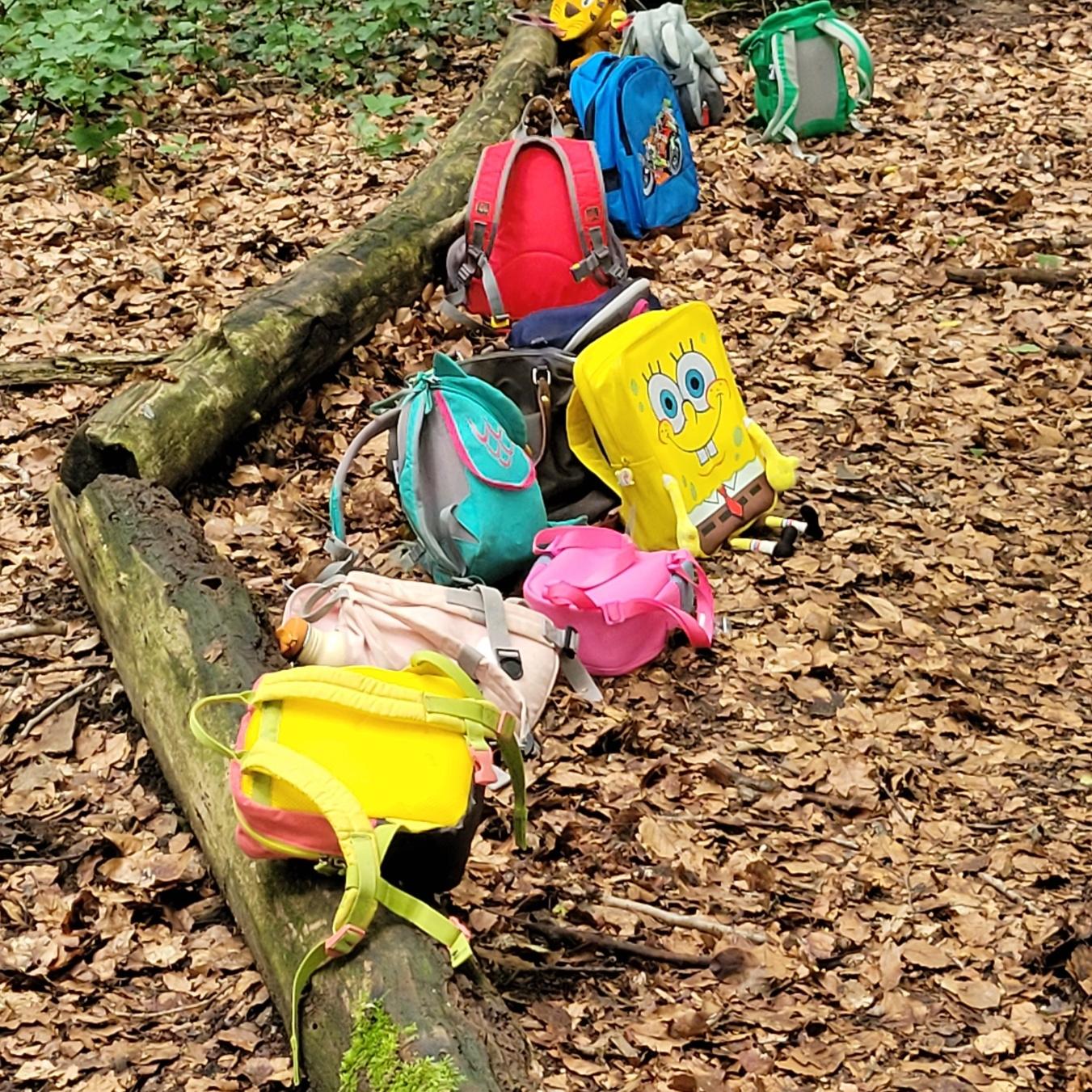 Wir entdecken und erleben viele Dinge und picknicken unter einem riesigen Blätterdach.
