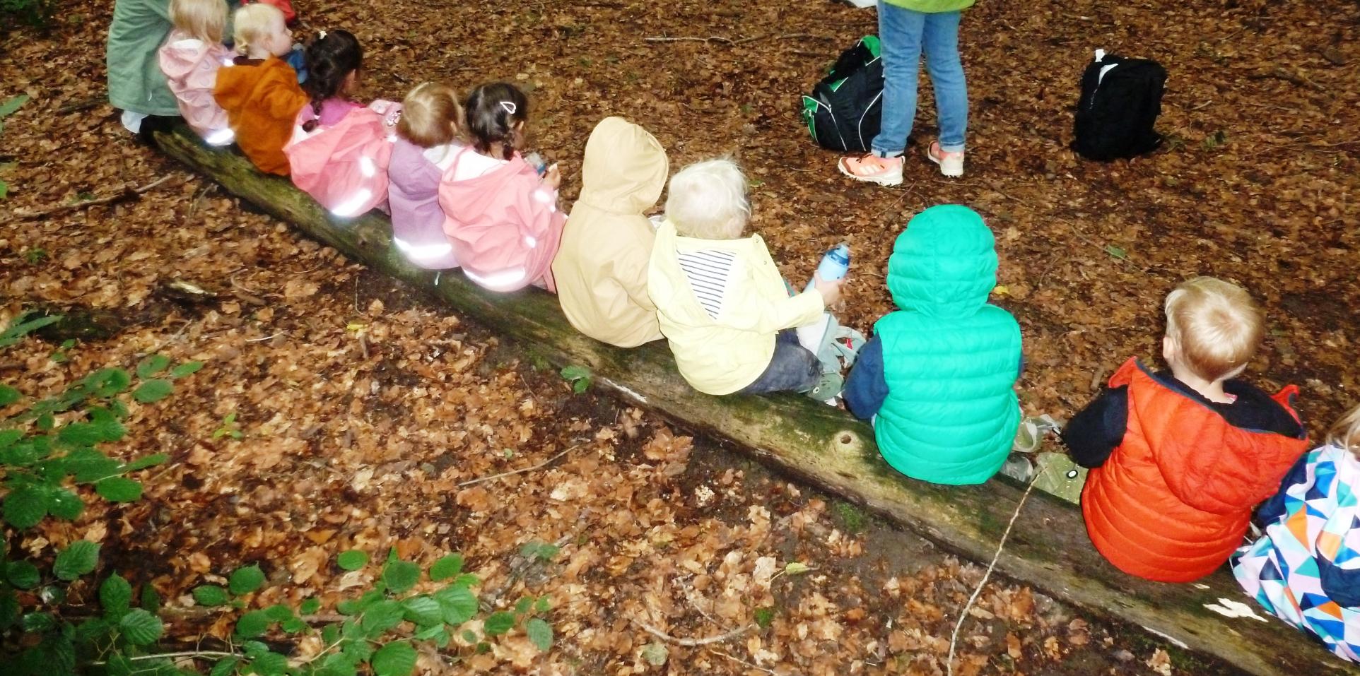 Der Wald macht richtig viel Spaß! Und wenn wir Mittags zurück im Kindergarten sind, sind wir hungrig und ganz schön müde.