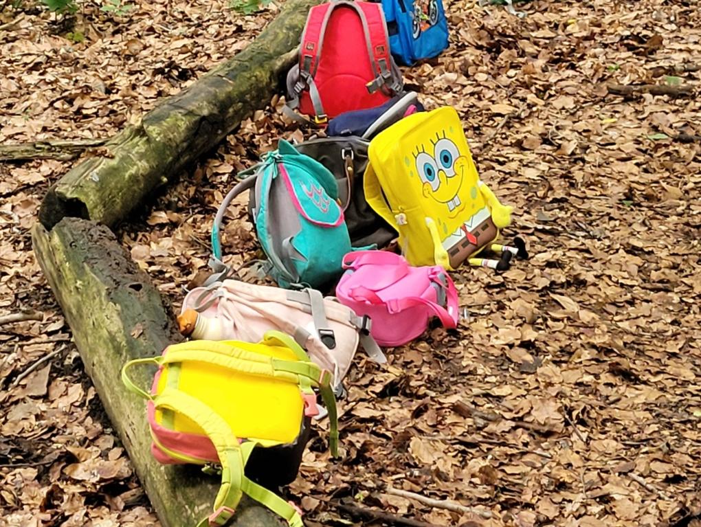 Wir entdecken und erleben viele Dinge und picknicken unter einem riesigen Blätterdach.