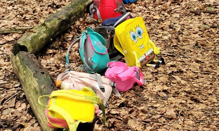 Wir entdecken und erleben viele Dinge und picknicken unter einem riesigen Blätterdach.
