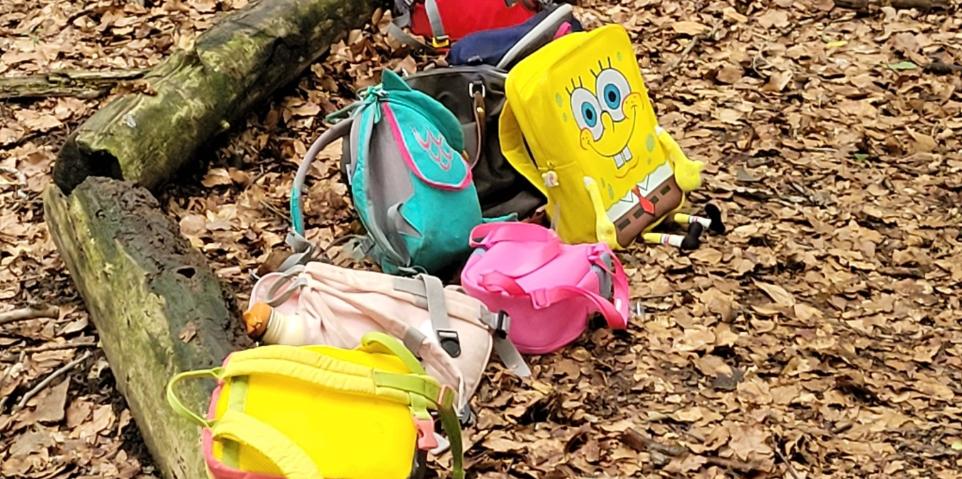 Wir entdecken und erleben viele Dinge und picknicken unter einem riesigen Blätterdach.