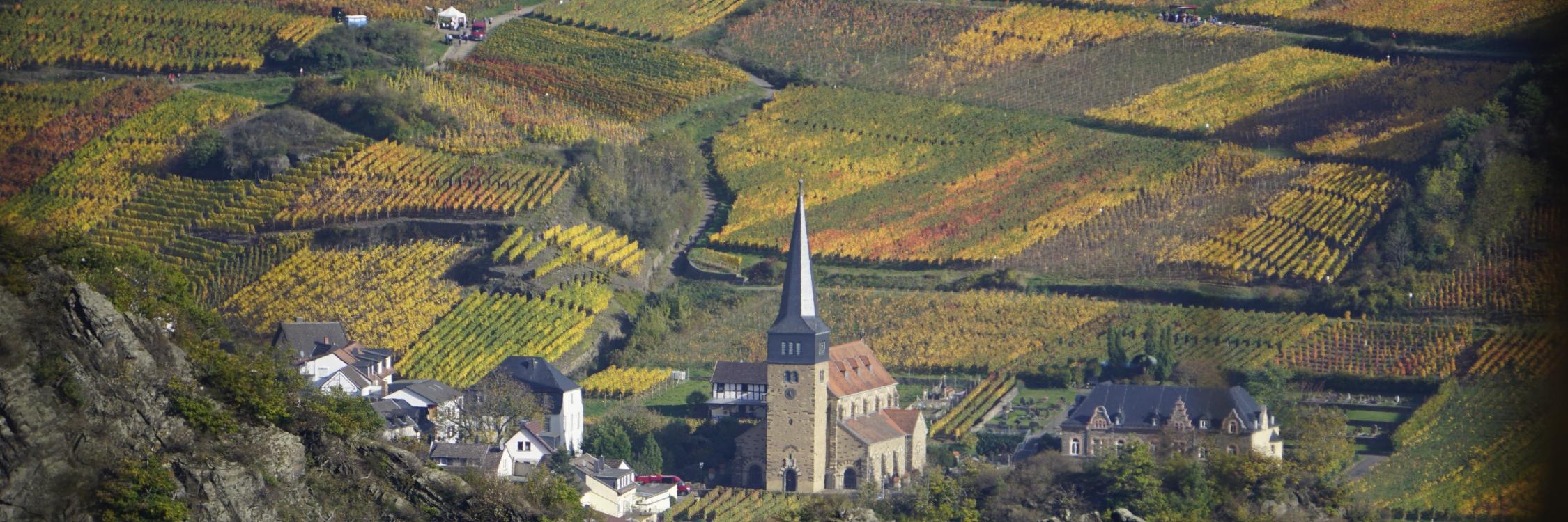 Blick ins Ahrtal