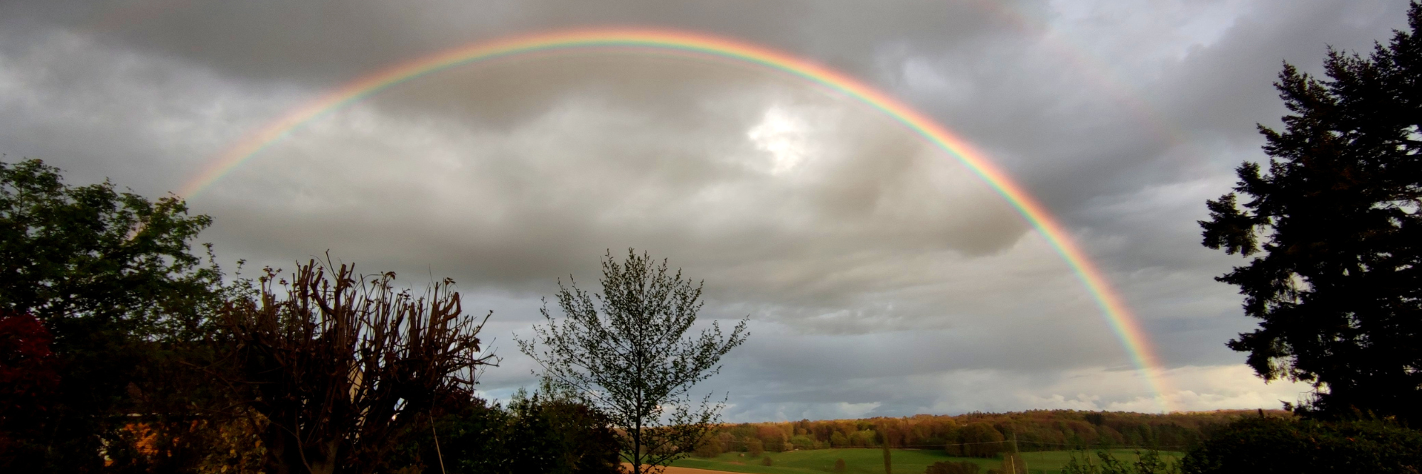 Regenbogen
