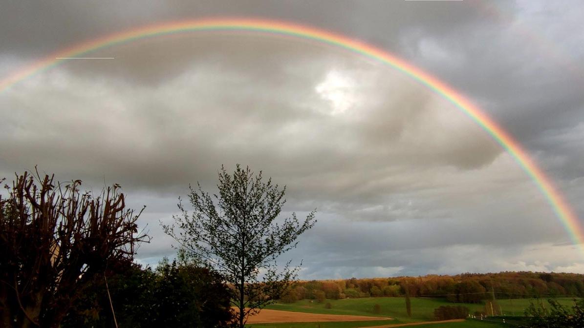 Sterben und Trauerbegleitung