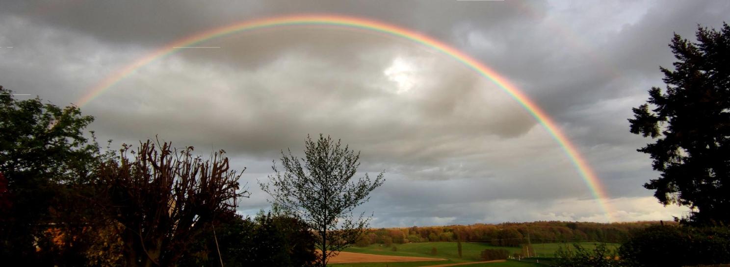 Sterben und Trauerbegleitung